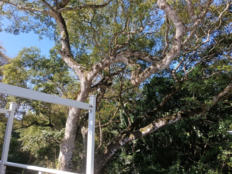 2 Bedroom Property for Sale in Brenton On Lake Western Cape